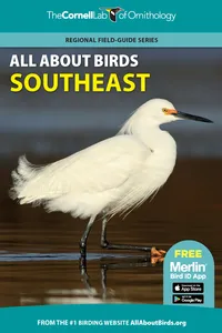 All About Birds Southeast_cover