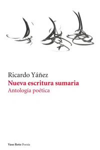 Nueva escritura sumaria_cover