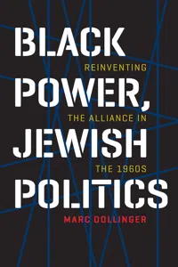 Black Power, Jewish Politics_cover