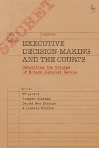 Executive Decision-Making and the Courts_cover