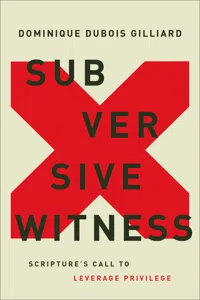 Subversive Witness_cover