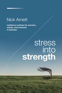 Stress Into Strength_cover