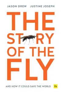 The Story of the Fly_cover