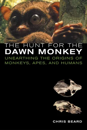 The Hunt for the Dawn Monkey