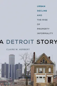 A Detroit Story_cover