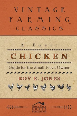A Basic Chicken Guide For The Small Flock Owner