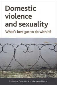 Domestic Violence and Sexuality : What's Love Got to Do with It?_cover