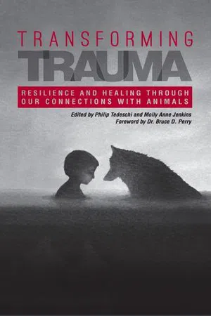 Transforming Trauma