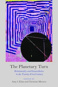 The Planetary Turn : Relationality and Geoaesthetics in the Twenty-First Century_cover