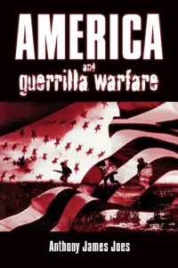 America and Guerrilla Warfare_cover