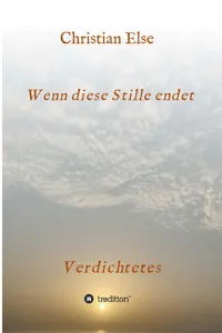 Wenn diese Stille endet_cover