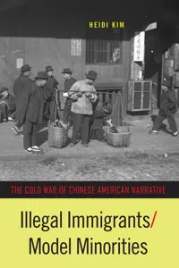 Illegal Immigrants/Model Minorities_cover