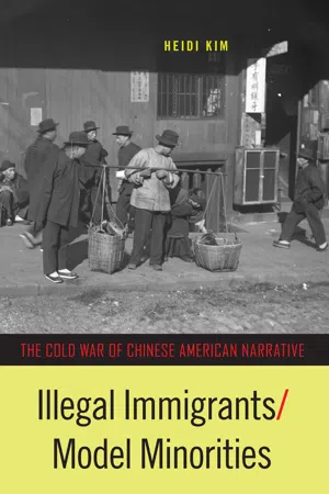 Illegal Immigrants/Model Minorities