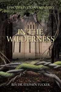 In The Wilderness_cover