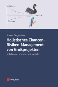 Holistisches Chancen-Risiken-Management von Grossprojekten_cover