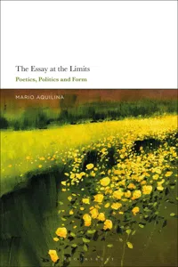 The Essay At the Limits_cover