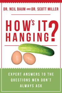 How's It Hanging?_cover