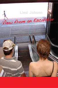 View from an Escalator_cover