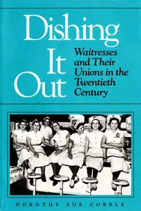 Working Class in American History_cover