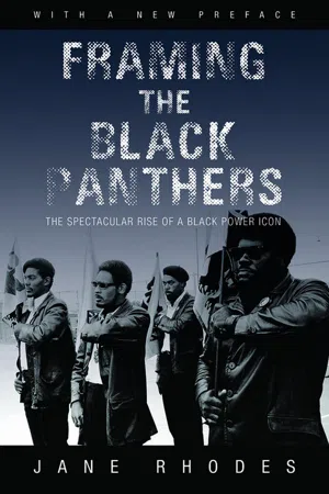 Framing the Black Panthers