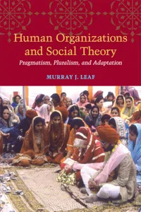 Human Organizations and Social Theory_cover