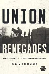 Working Class in American History_cover