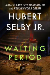 Waiting Period_cover