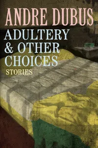 Adultery & Other Choices_cover