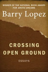 Crossing Open Ground_cover