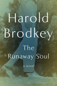 The Runaway Soul_cover