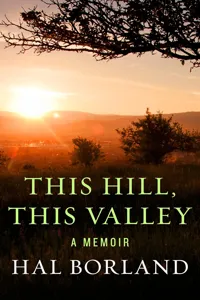 This Hill, This Valley_cover