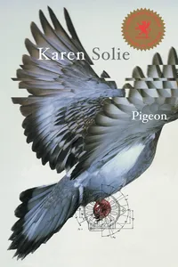 Pigeon_cover