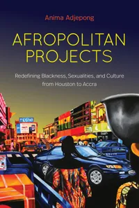 Afropolitan Projects_cover