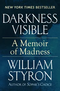 Darkness Visible_cover