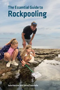 The Essential Guide to Rockpooling_cover