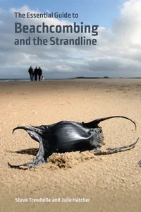 The Essential Guide to Beachcombing and the Strandline_cover