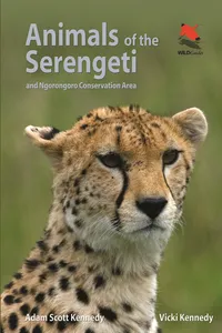 Animals of the Serengeti_cover