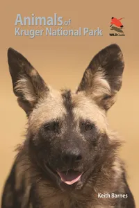 Animals of Kruger National Park_cover