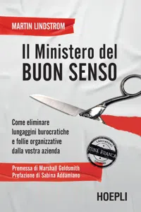 Il ministero del Buon Senso_cover