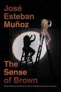 The Sense of Brown_cover