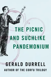 The Picnic and Suchlike Pandemonium_cover