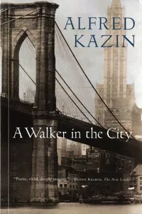 A Walker in the City_cover
