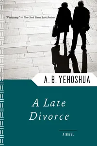 A Late Divorce_cover