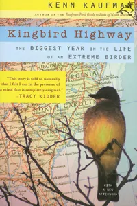 Kingbird Highway_cover