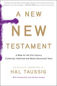 A New New Testament_cover