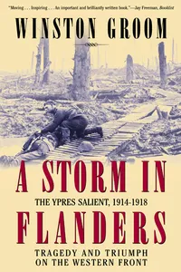 A Storm in Flanders_cover