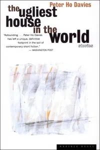 The Ugliest House in the World_cover
