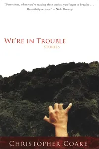We're in Trouble_cover