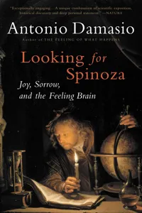 Looking for Spinoza_cover