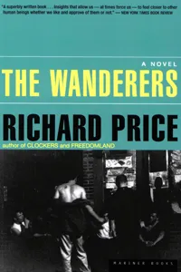 The Wanderers_cover